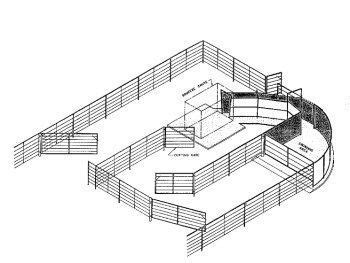 cattle loading chute dimensions|Handling Facilities for Beef Cattle